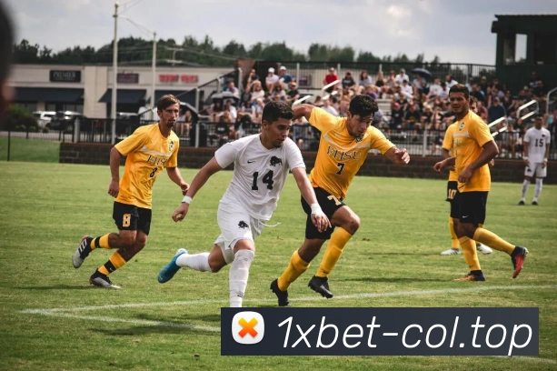 1xbet官网品牌故事