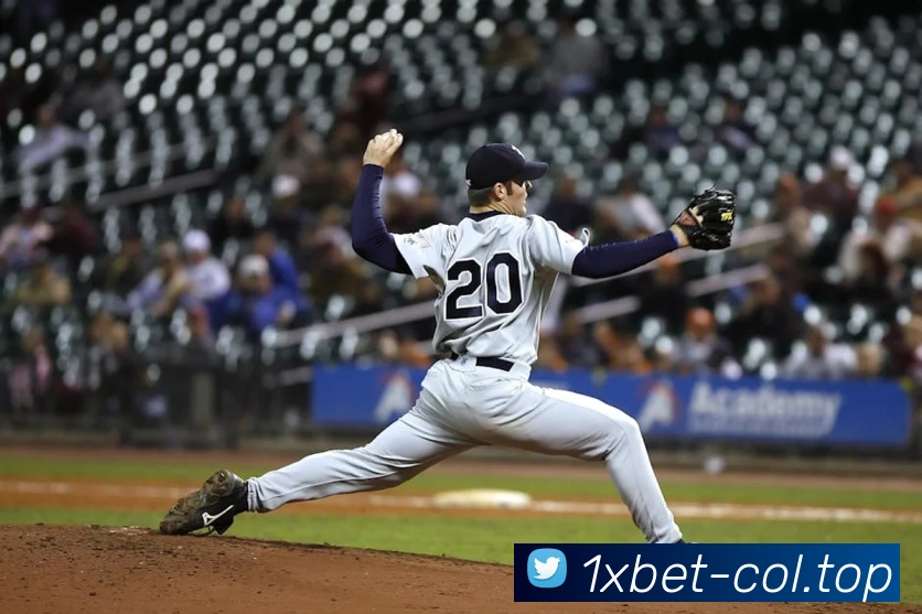 1xbet官网服务体系